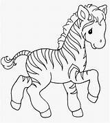 Zebra Coloring Pages Baby Cute Colouring Animal Printable Template Animals Kids Color Precious Print Templates Little 1080p Kindergeburtstag Sweet Zoo sketch template