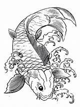 Fish Drawing Japanese Koi Paintingvalley sketch template