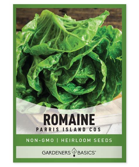 parris island romaine lettuce seeds gardeners basics