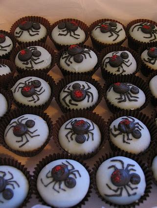 spider cupcakes pictures   images  facebook tumblr pinterest  twitter
