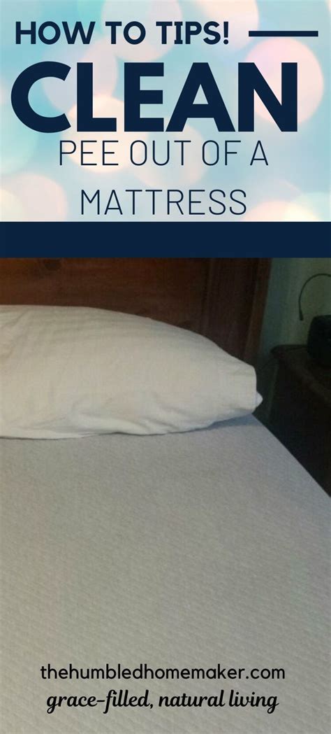 clean pee    mattress mattress cleaning