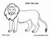 Lion Coloring Pages Lions Printable Kids Print Color Real Animal Male Cartoon Sheets King Choose Board Exploringnature sketch template
