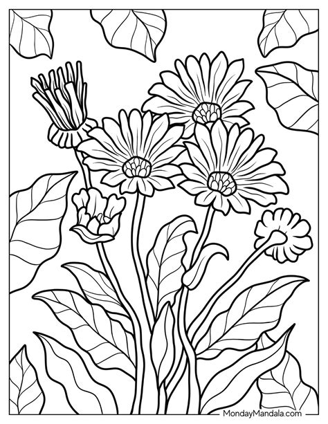 flower coloring pages   printables