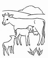 Coloring Pages Cow Cows Dairy Feeding Her Breast Milking Baby Colouring Farm Calf Kids Babies Netart Choose Board sketch template
