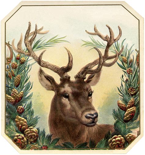 vintage christmas image deer  graphics fairy