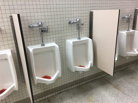 finally  urinal divider scheme      buddy     privacy