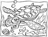 Coloring Turtle Sea Pages Printable Library Clipart Clip Color sketch template