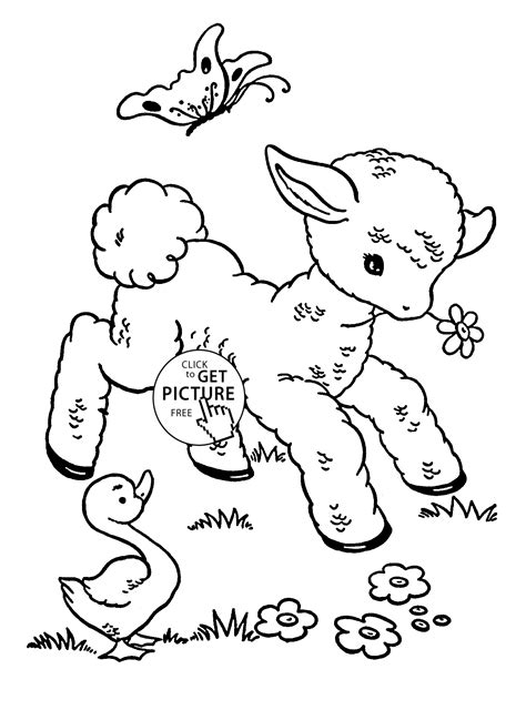 cute baby sheep animal coloring page  kids animal coloring pages