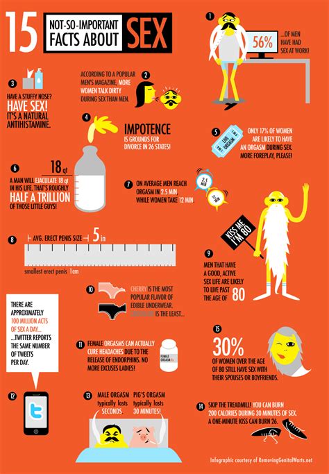 15 not so important facts about sex daily infographic