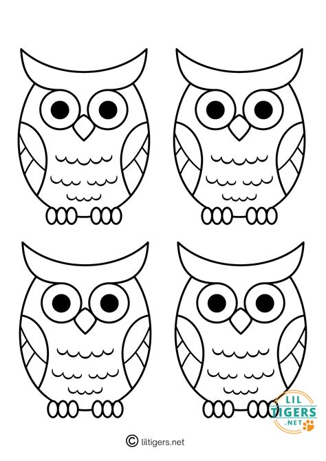 printable owl templates lil tigers lil tigers