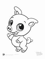 Coloring Pages Baby Animals Animal Cute Pig Color Print Colouring Printable Small Leapfrog Guinea Adults Drawings Beluga Clipart Adorable Drawing sketch template