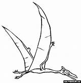 Dinosaur Dinozaury Kolorowanki Quetzalcoatlus Pterodactyl Parasaurolophus Zwierzęta sketch template