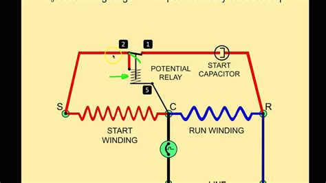 potential relay wiring diagram cadicians blog
