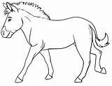 Mule Normal sketch template