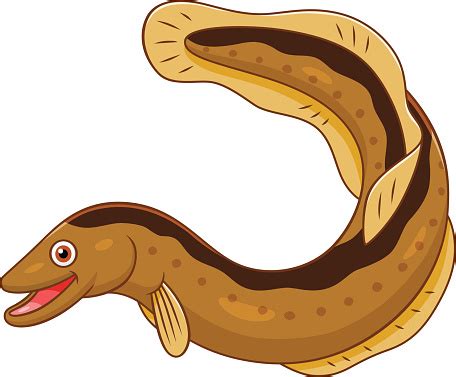 saltwater eel clip art vector images illustrations istock