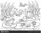Wetland Humedal Adulti Paisaje Animali Coloritura Dieren Adultos Palude Paesaggio Adultes Trame Raster Pintar Ambientes Pantanal Kleurplaten Paisajes Marsh Egret sketch template