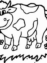 Koeien Topkleurplaat Kleurplaten sketch template
