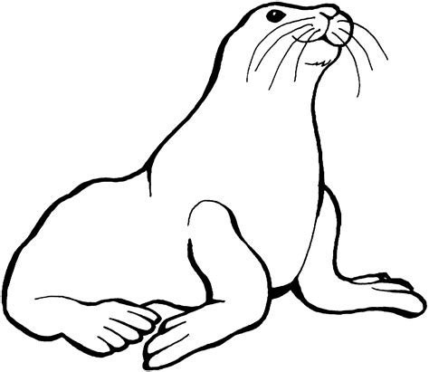 coloring picture  animals  kids sea lions coloring pages kids