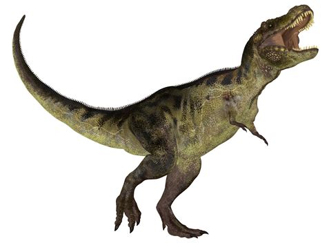 dinosaur   dinosaur png images  cliparts