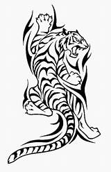 Tigre Dragonfantasy Tatoo Wildspiritwolf Bacau sketch template