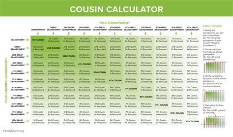 cousin chartfamily relationships explained