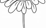 Flower Clipart Daisies Coloring Daisy Drawing Transparent Webstockreview Gardening sketch template