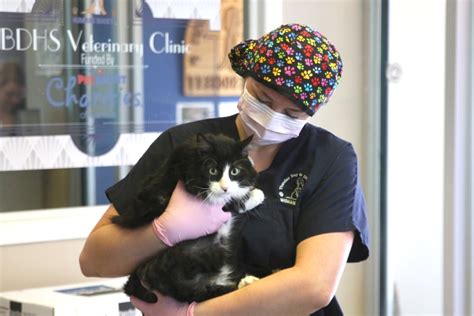 cost spay  neuter clinic reopens  cats  tbnewswatchcom