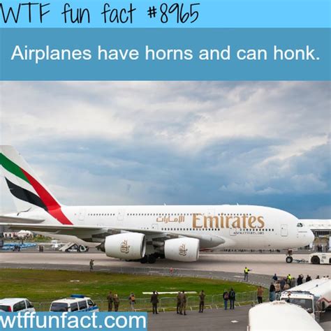 wtf fun facts collection barnorama