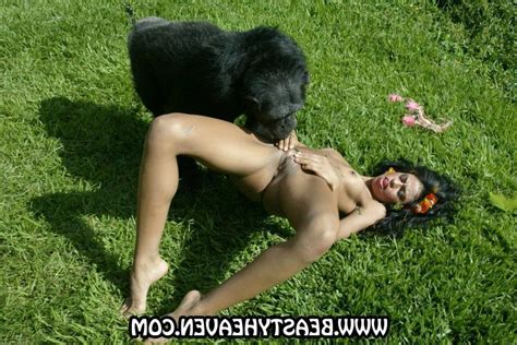 sex with chimp porn best porno
