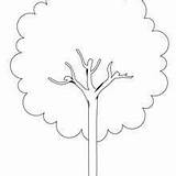 Tree Coloring Pages Lime Oaks Clipartbest Hellokids Chestnut Bonsai Maple Oak sketch template
