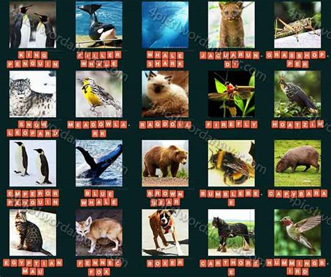 guess animal  level   answers  pics  word daily puzzle