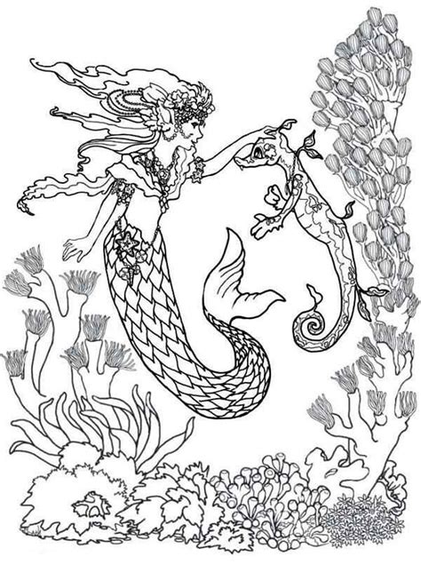 mermaid   seahorse coloring page paginas  colorear