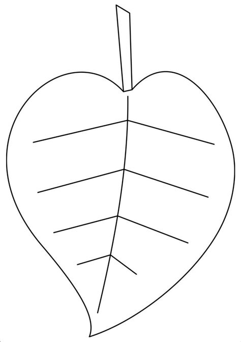 template   leaf