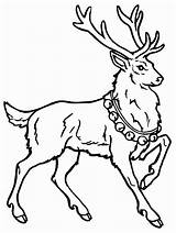 Cerf Coloriage Chinois Volant Reindeer Rudolph Buzz2000 Inscrivez sketch template