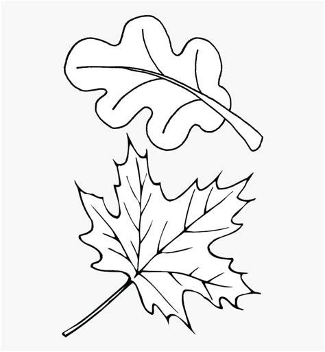 autumn outlines coloring pages