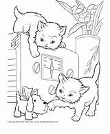 Coloring Cat Pages Kittens Honkingdonkey Playful Kids Print Cats sketch template