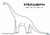 Coloring Brachiosaurus Dinosaur Long Neck Pages Printable Herbivore Colouring Color Necked Kids Print Throughout Lived Choose Board Pdf Legs Printables sketch template