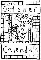 Birthstone Coloring Calendula October Flower Pages sketch template