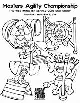 Agility Dog Westminster Show Obstacle Coloring Course Choose Board Championship Feb sketch template