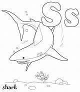 Coloring Pages Shark Kids Worksheets Printable Preschool Letter Sharks Alphabet Color Activities Theme sketch template