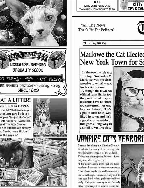 cat newspaper timeless treasures