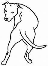 Pitbull Colorir Perros Stafford Desenhos Kleurplaten Caras Honden Dieren Cachorro Cachorros sketch template
