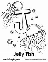 Coloring Jellyfish Fish Pages Worksheets Jelly Choose Board Colouring Letters sketch template