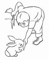 Coloring Feed Rabbit Pet Carrot Kid Little His sketch template
