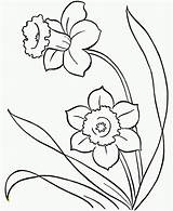Coloring Snowdrop Pages Snowdrops Drawings Line Search Google Divyajanani sketch template