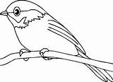 Robin Bird Coloring Pages Red Drawing American Printable Draw Getdrawings Getcolorings Print Color Kids sketch template