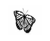 Butterfly Tribal sketch template