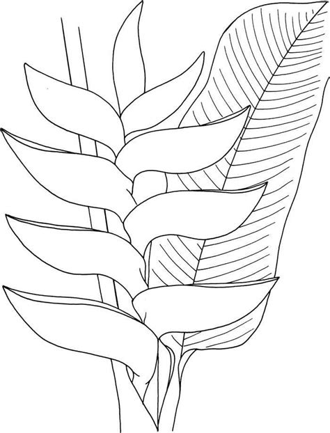 type  flower coloring pages  coloringfoldercom