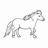 Horse Coloring Miniature Pages Color Horses Printable Irish Toddler Sport Draught Pic sketch template