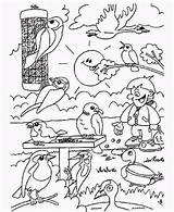 Kleurplaat Vogels Tuin Ausmalbild Waldtiere Dieren Malvorlagen Vogeltjes sketch template